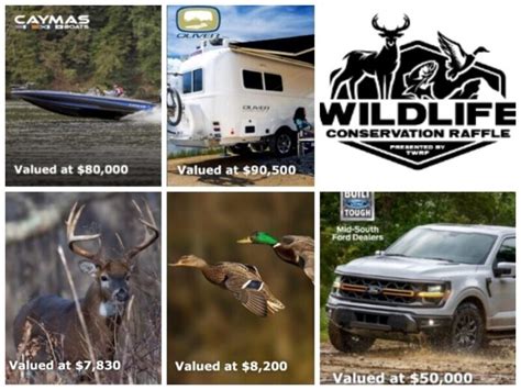 tennessee sweepstakes|2024 WILDLIFE RAFFLE HOME .